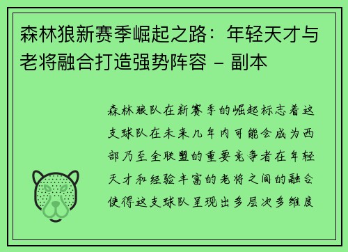 森林狼新赛季崛起之路：年轻天才与老将融合打造强势阵容 - 副本