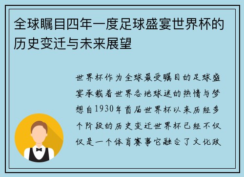 全球瞩目四年一度足球盛宴世界杯的历史变迁与未来展望